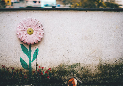자원 봉사단이 낡은 하얀 벽에 실제 꽃(노란 봉우리에 분홍잎파리)을 붙이고 가지와 풀을 그린 벽화