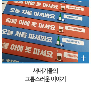 새내기들의 고통스러운 이야기